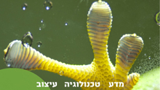 ביומימקרי: ללמוד לחדש מן הטבע