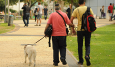 לוקחים מעורבות. חברתית.